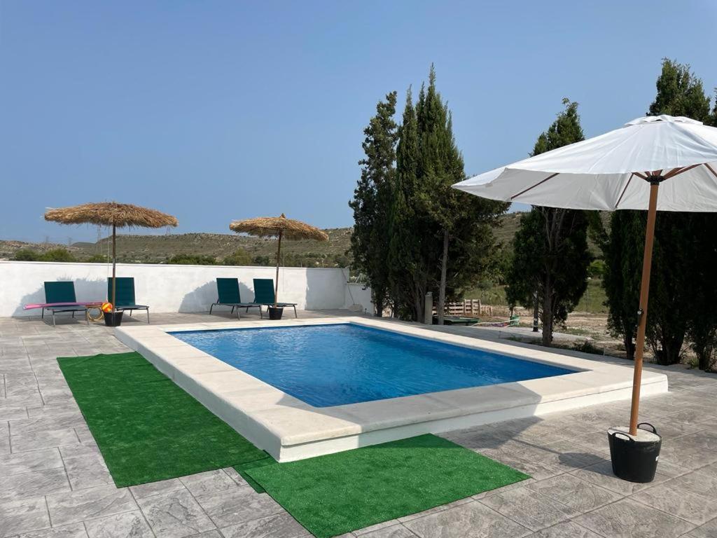 Casa Rural Con Piscina Climatizada Y Barbacoa A 10 Km De Alicante Y Playas, 3000 M2 De Terreno 埃尔切 外观 照片