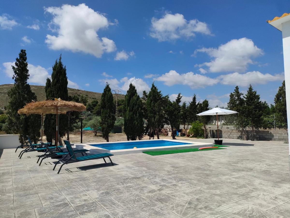 Casa Rural Con Piscina Climatizada Y Barbacoa A 10 Km De Alicante Y Playas, 3000 M2 De Terreno 埃尔切 外观 照片