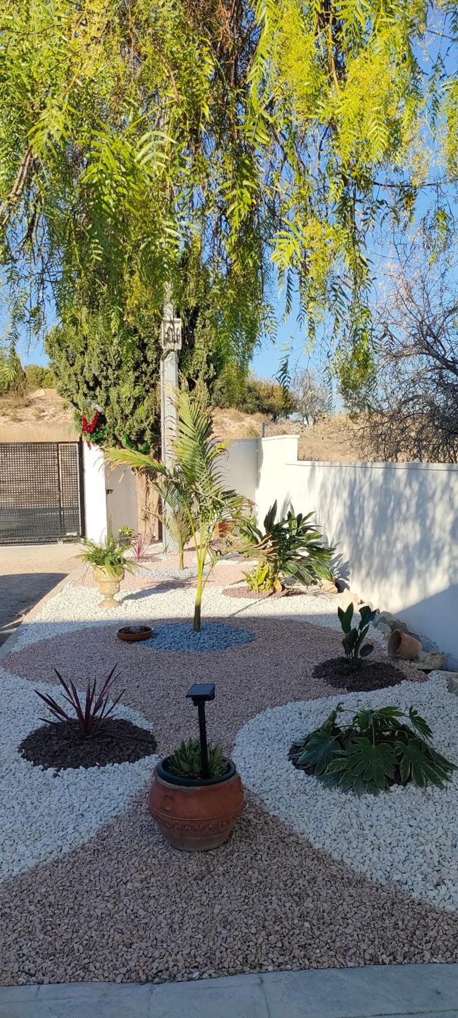 Casa Rural Con Piscina Climatizada Y Barbacoa A 10 Km De Alicante Y Playas, 3000 M2 De Terreno 埃尔切 外观 照片